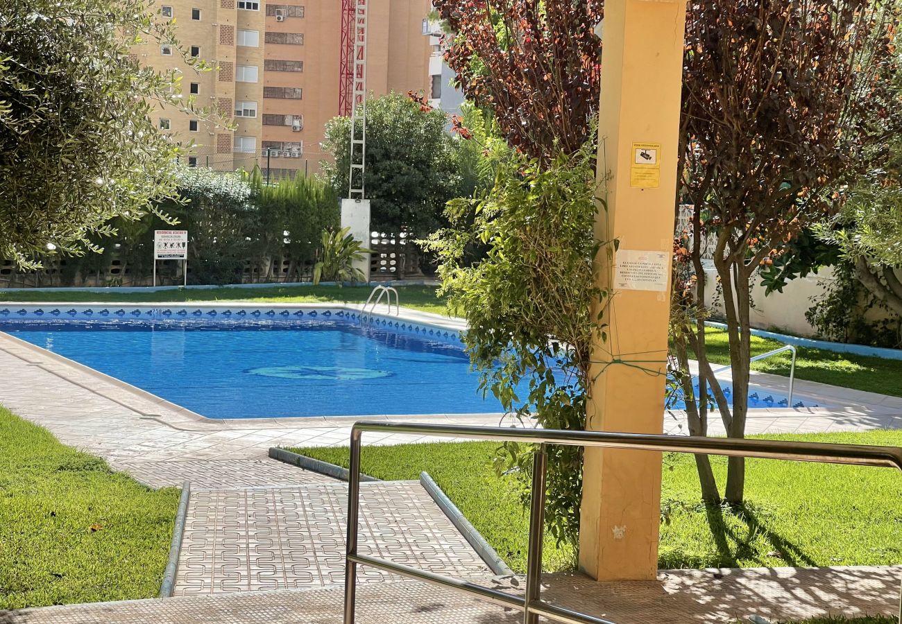 Apartment in Benidorm - ACACIAS BENIDORM VIEWS R098