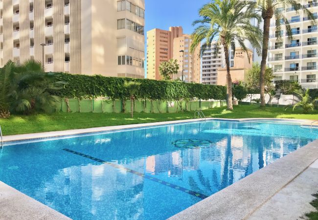 Apartment in Benidorm - NEW CENIT R100