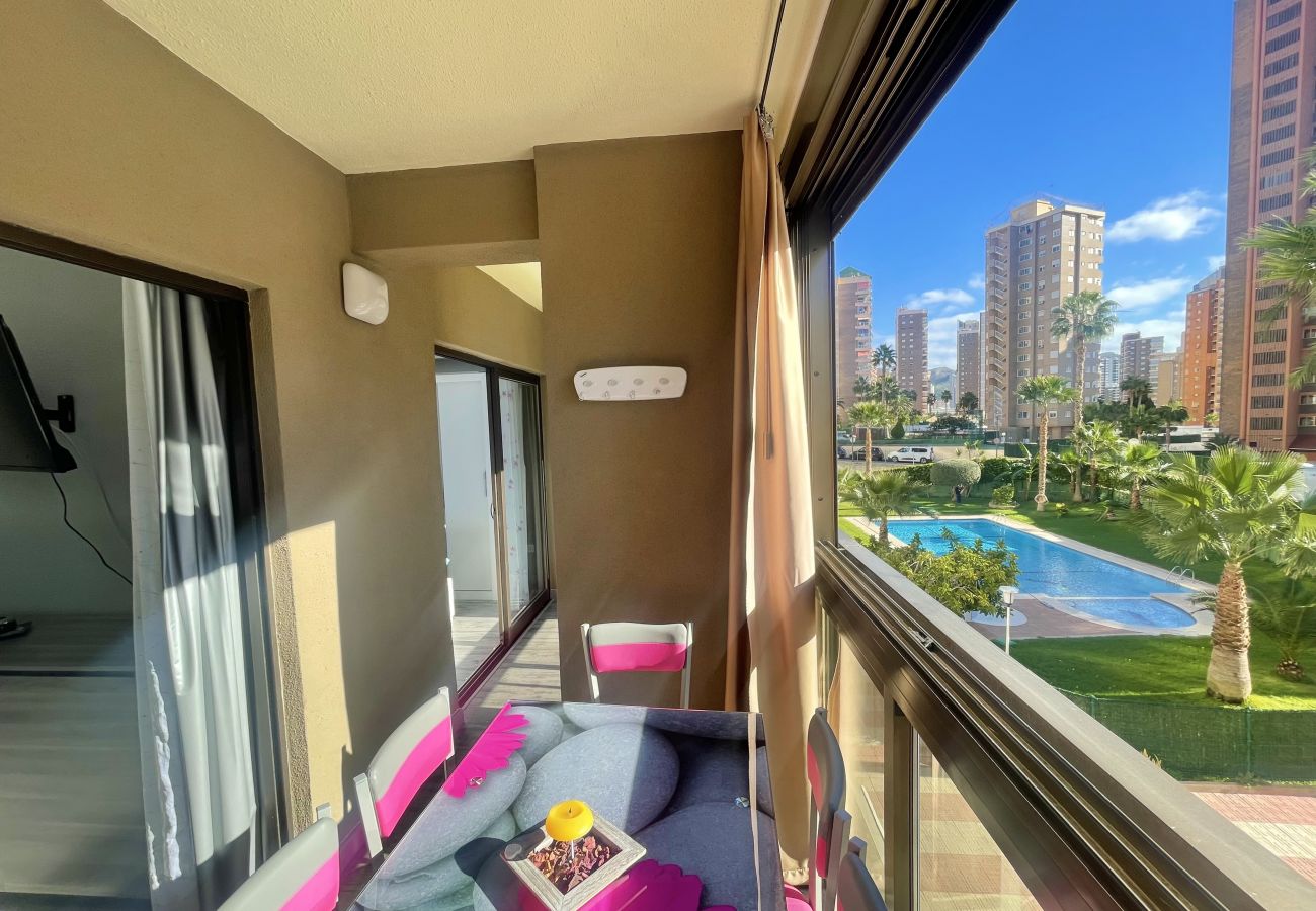 Apartment in Benidorm - NEW CENIT R100