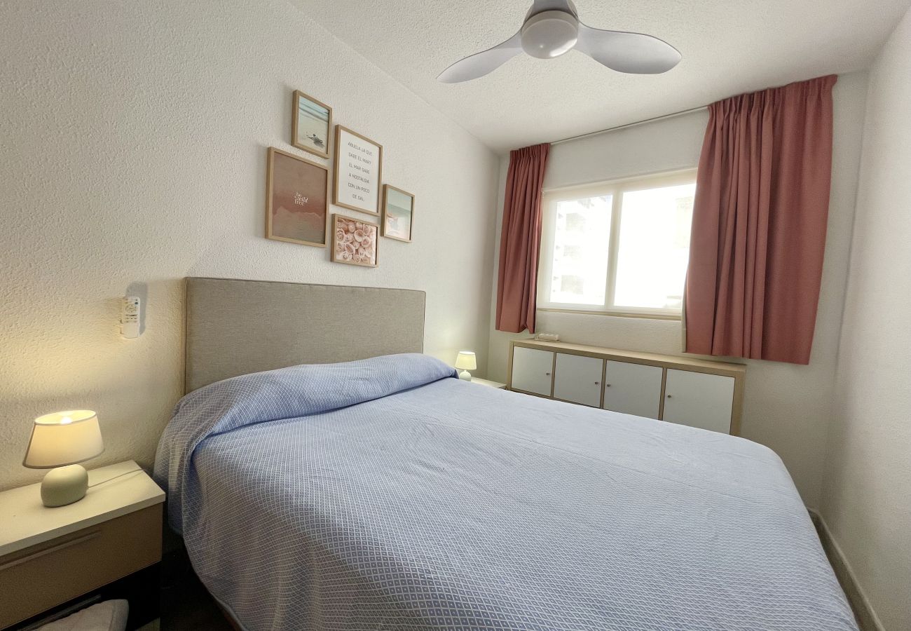 Apartment in Benidorm - PESCADORS APARTMENT R101