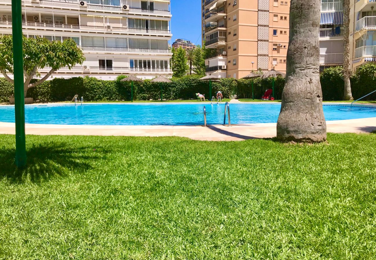 Studio in Benidorm - SEAFRONT LUXURY VIEWS R108