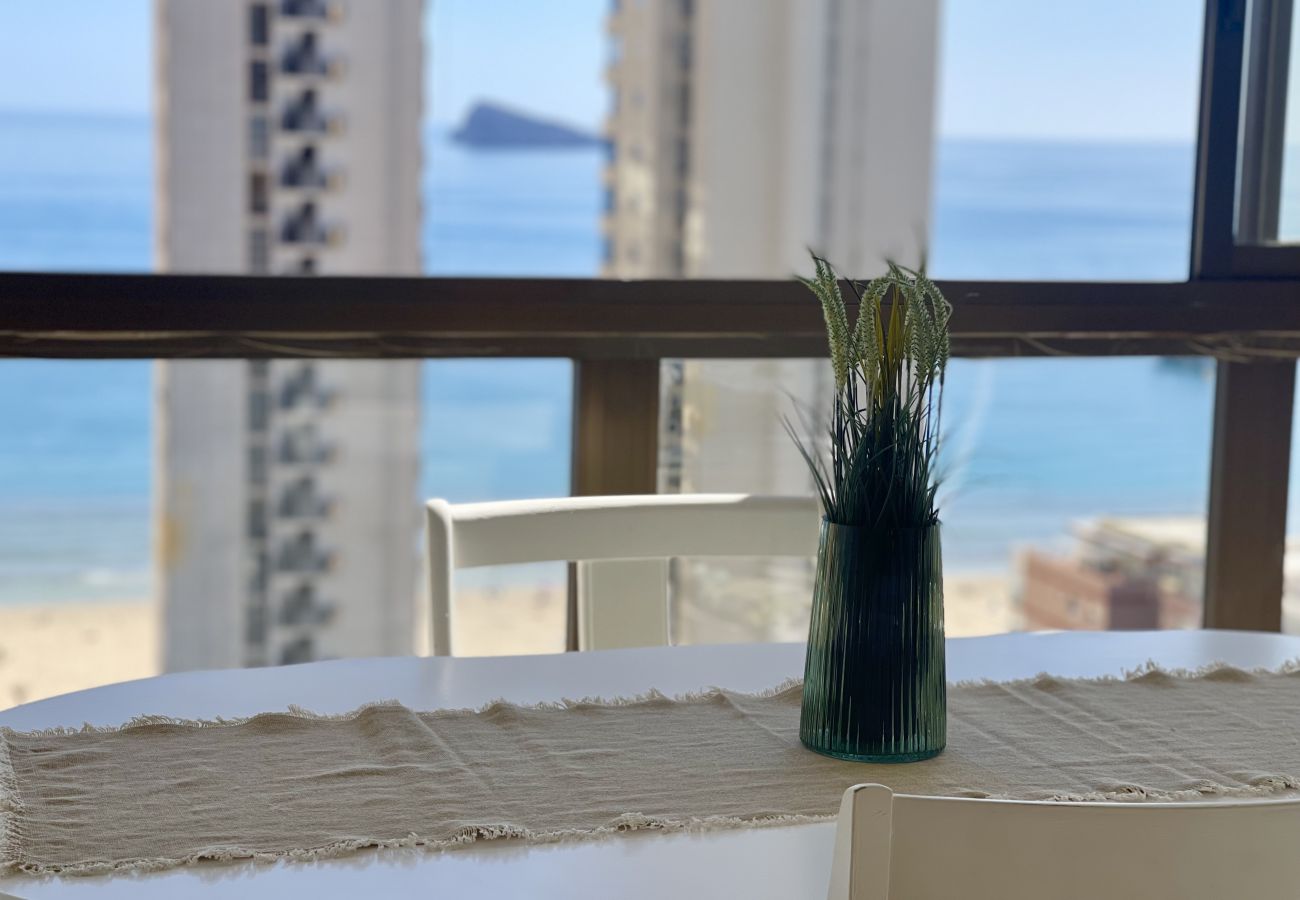 Apartment in Benidorm - PARAISO II R117