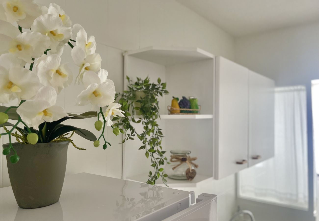 Apartment in Benidorm - PARAISO II R117