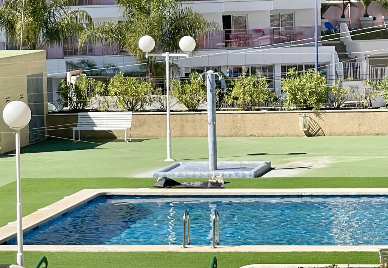 Apartment in Benidorm - PARAISO II R117