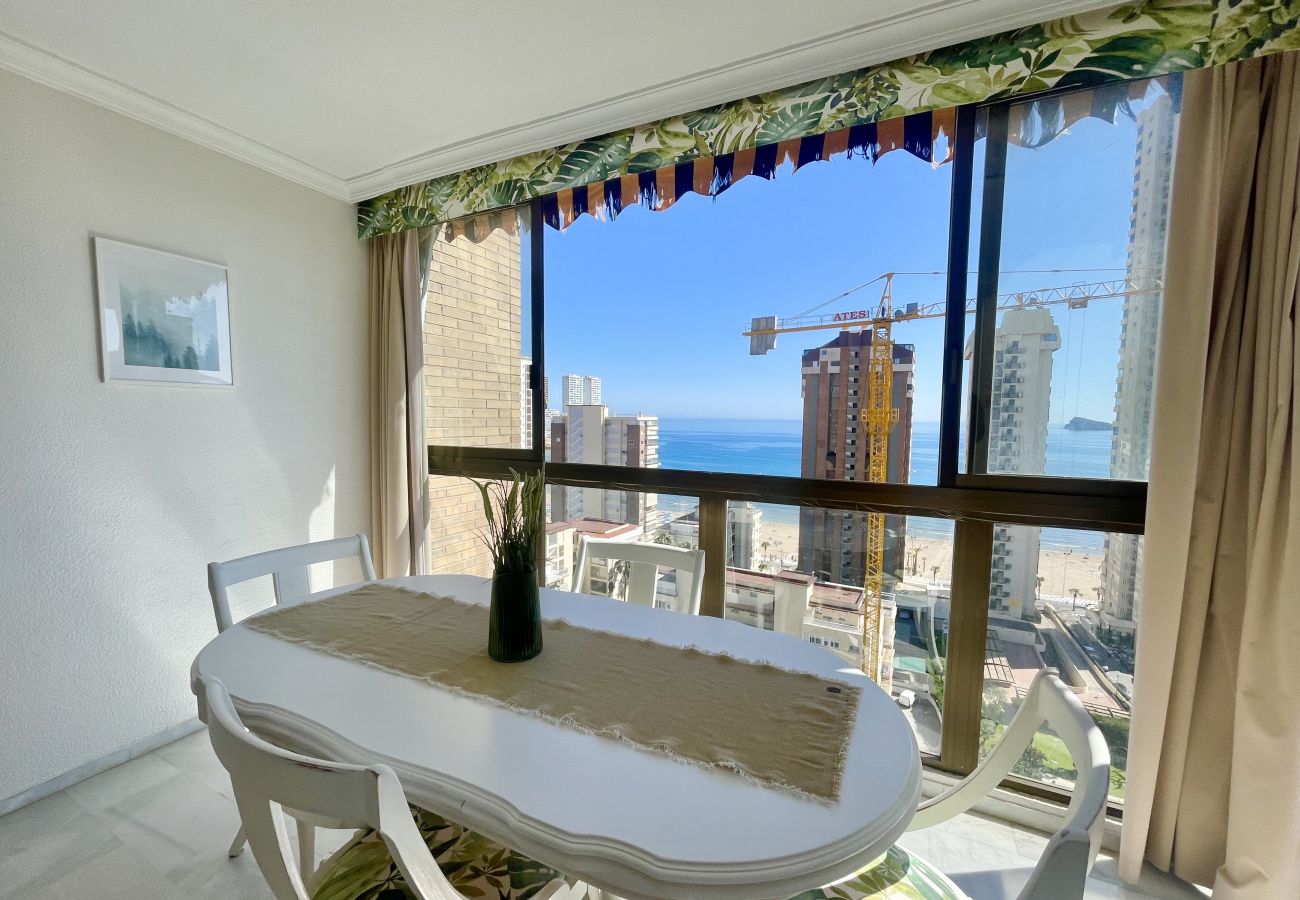 Apartment in Benidorm - PARAISO II R117