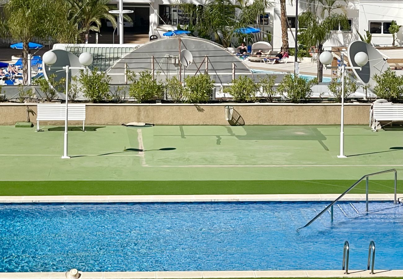 Apartment in Benidorm - PARAISO II R117