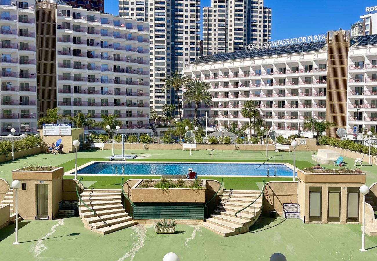 Apartment in Benidorm - PARAISO II R117