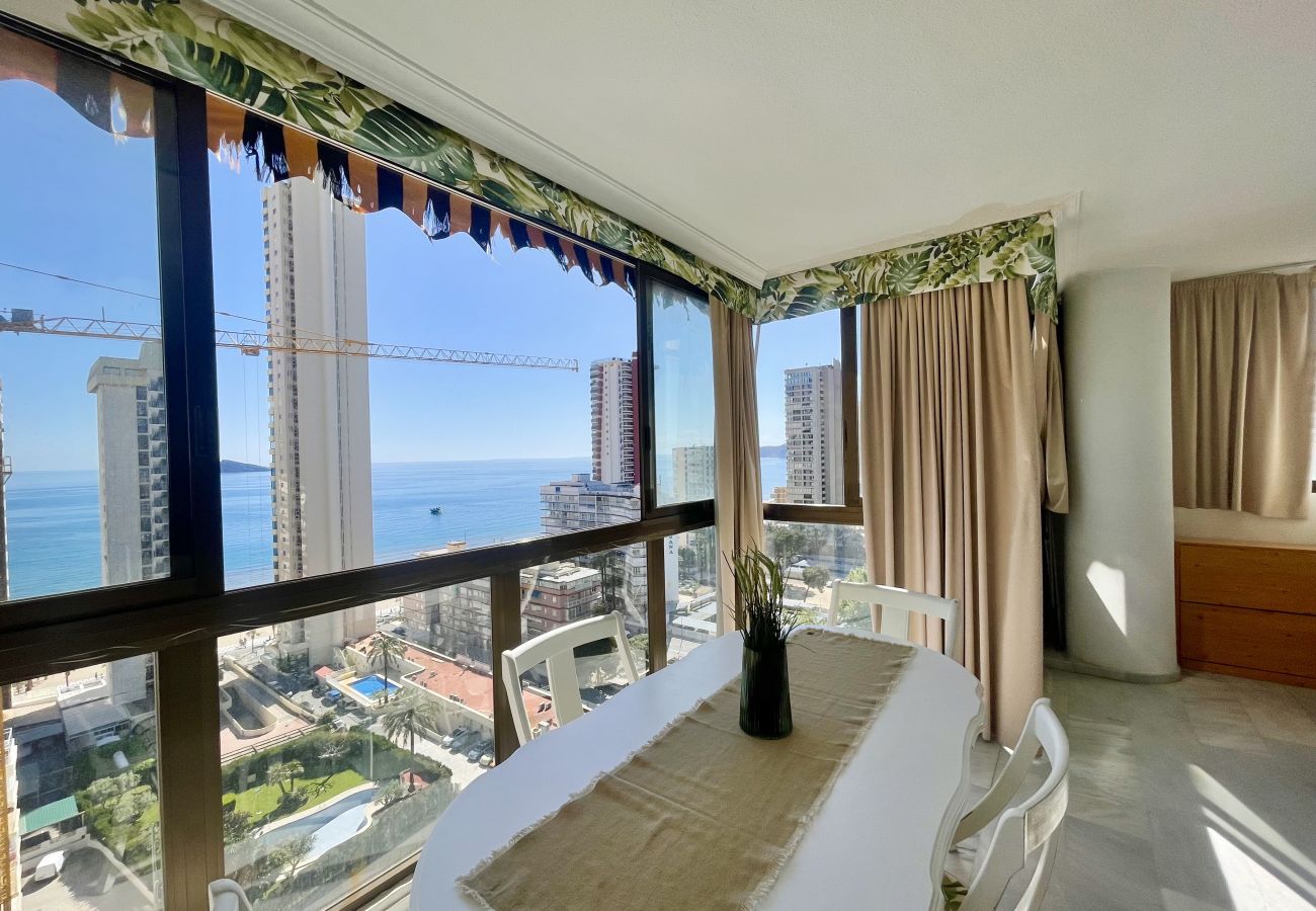 Apartment in Benidorm - PARAISO II R117