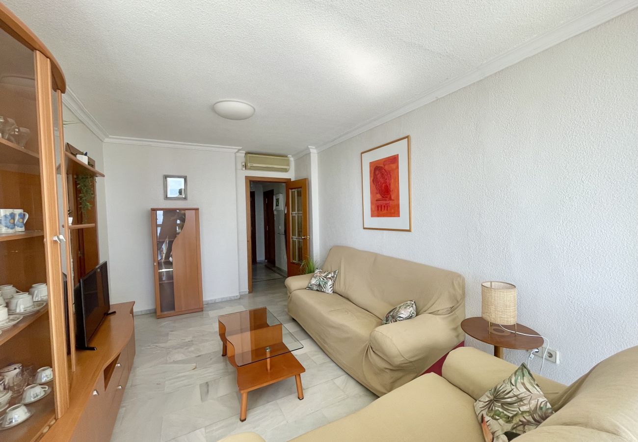 Apartment in Benidorm - PARAISO II R117