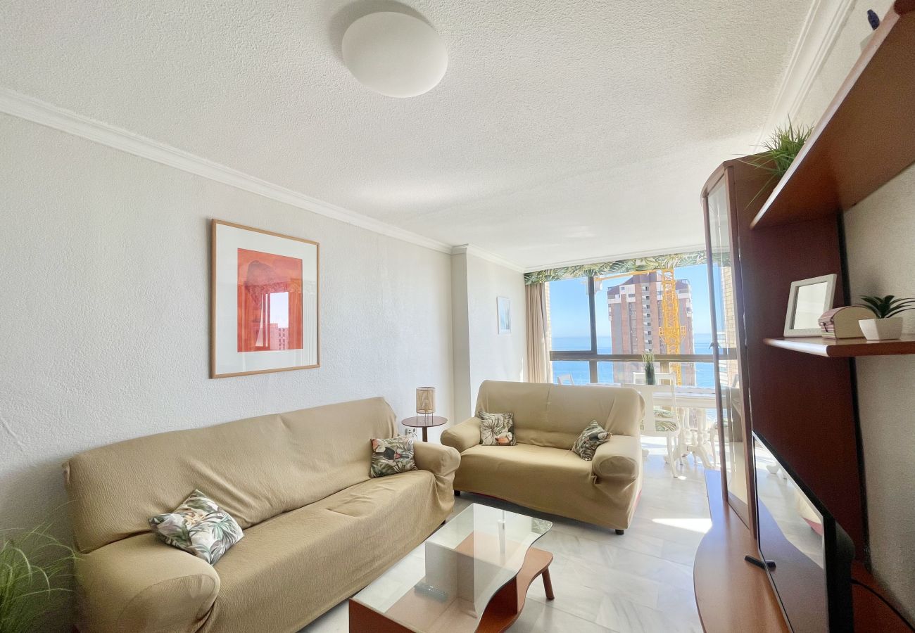 Apartment in Benidorm - PARAISO II R117