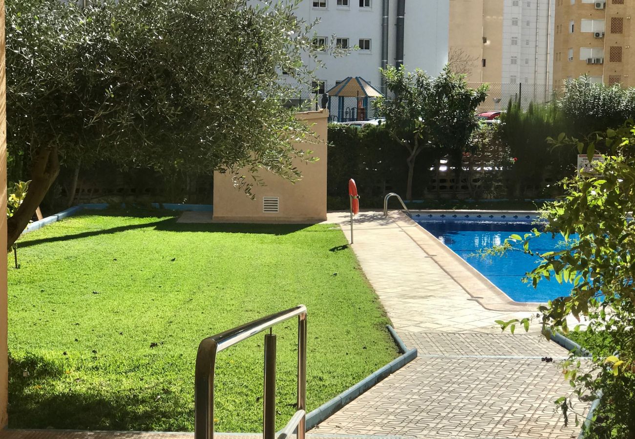 Apartment in Benidorm - ACACIAS CENTER APARTMENT R119