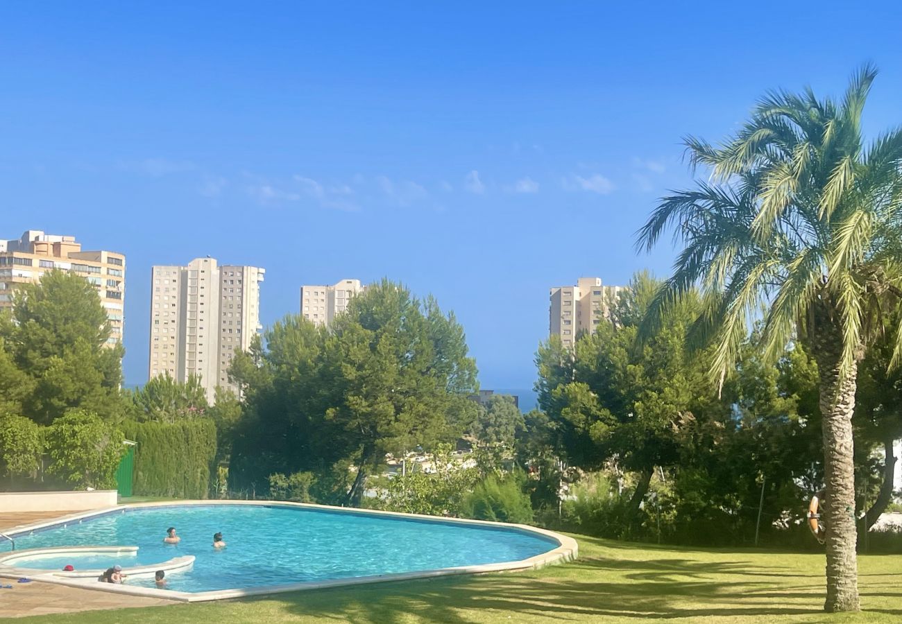 Apartment in Benidorm - MIRAGOLF PONIENTE BEACH R027