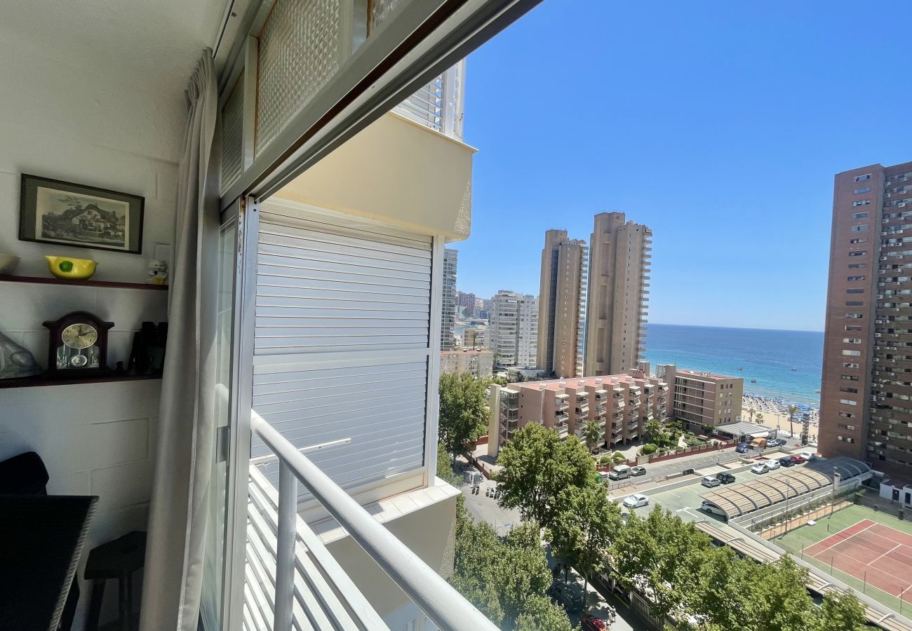 Apartment in Benidorm - ELEVEN CABALLOS APARTMENT R125