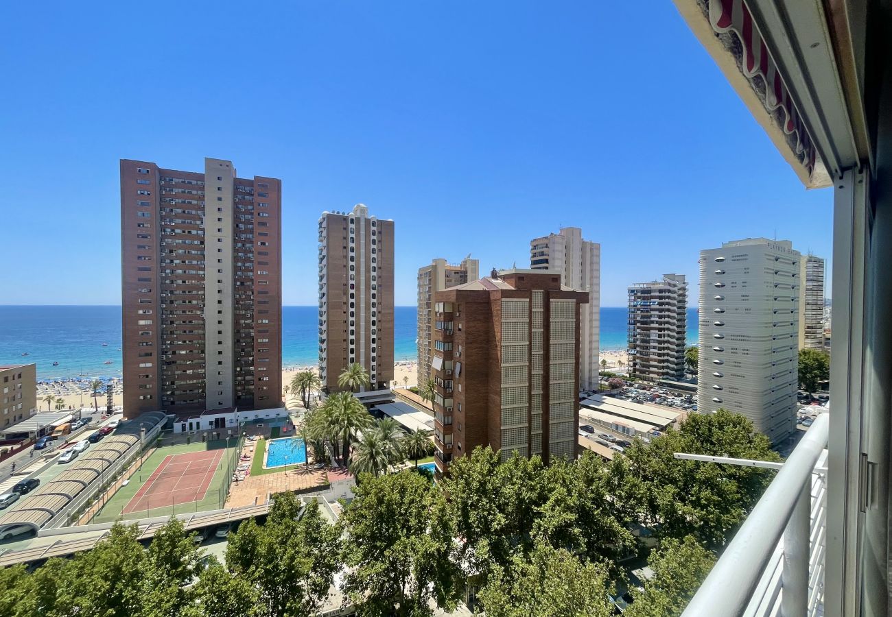 Apartment in Benidorm - ELEVEN CABALLOS APARTMENT R125