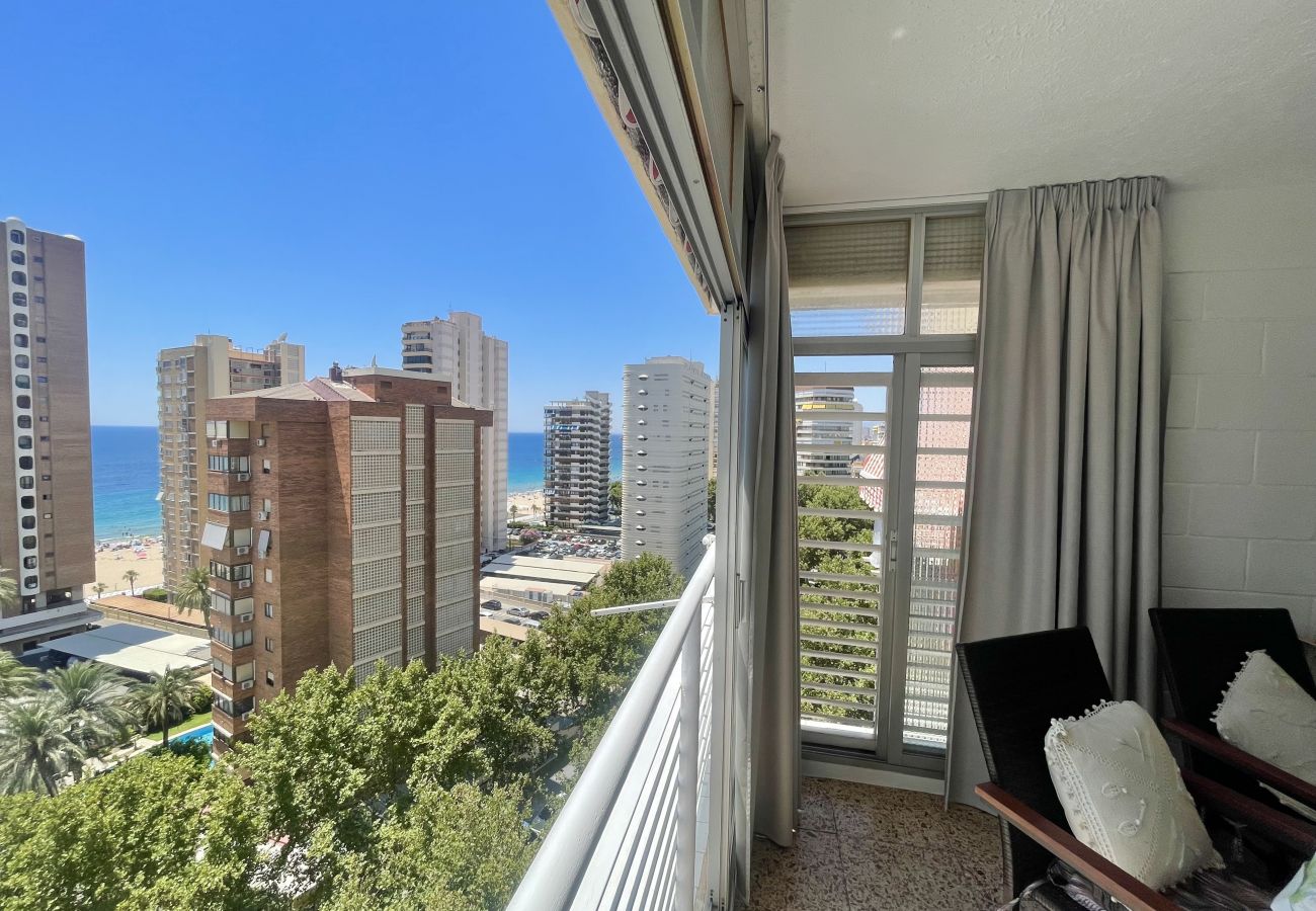 Apartment in Benidorm - ELEVEN CABALLOS APARTMENT R125