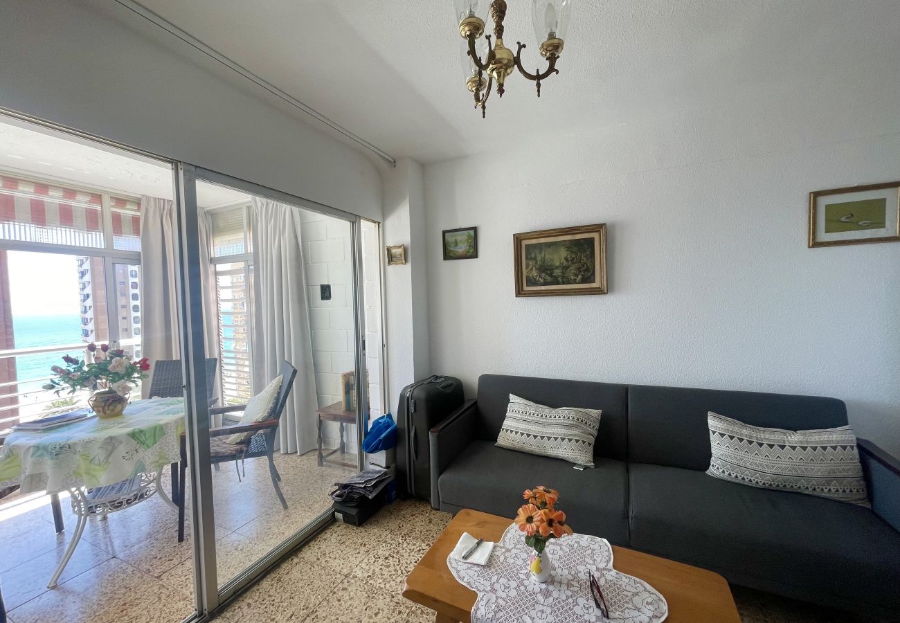 Apartment in Benidorm - ELEVEN CABALLOS APARTMENT R125