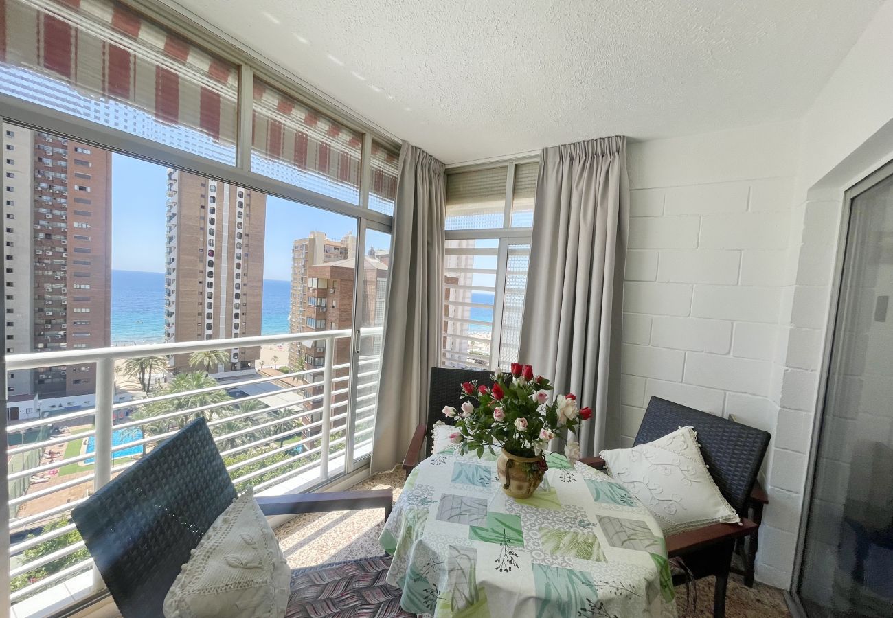 Apartment in Benidorm - ELEVEN CABALLOS APARTMENT R125