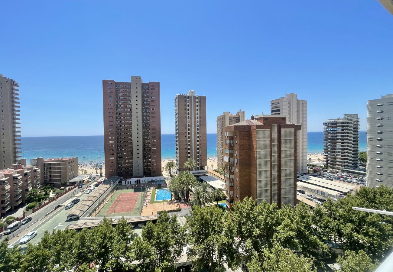 Apartment in Benidorm - ELEVEN CABALLOS APARTMENT R125