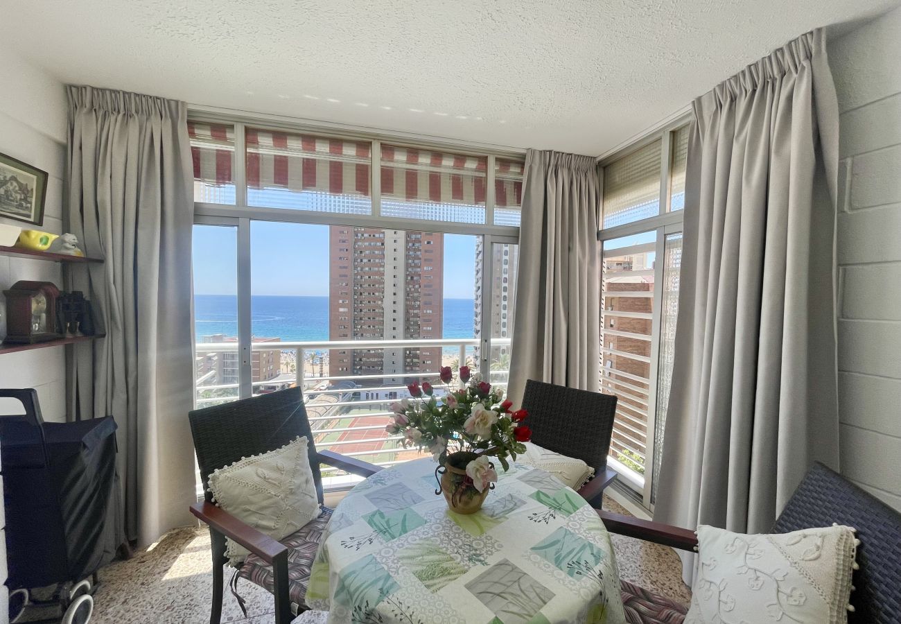 Apartment in Benidorm - ELEVEN CABALLOS APARTMENT R125