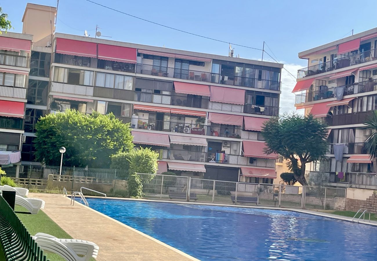 Apartment in Benidorm - EUROPA GARDEN LEVANTE BEACH R129