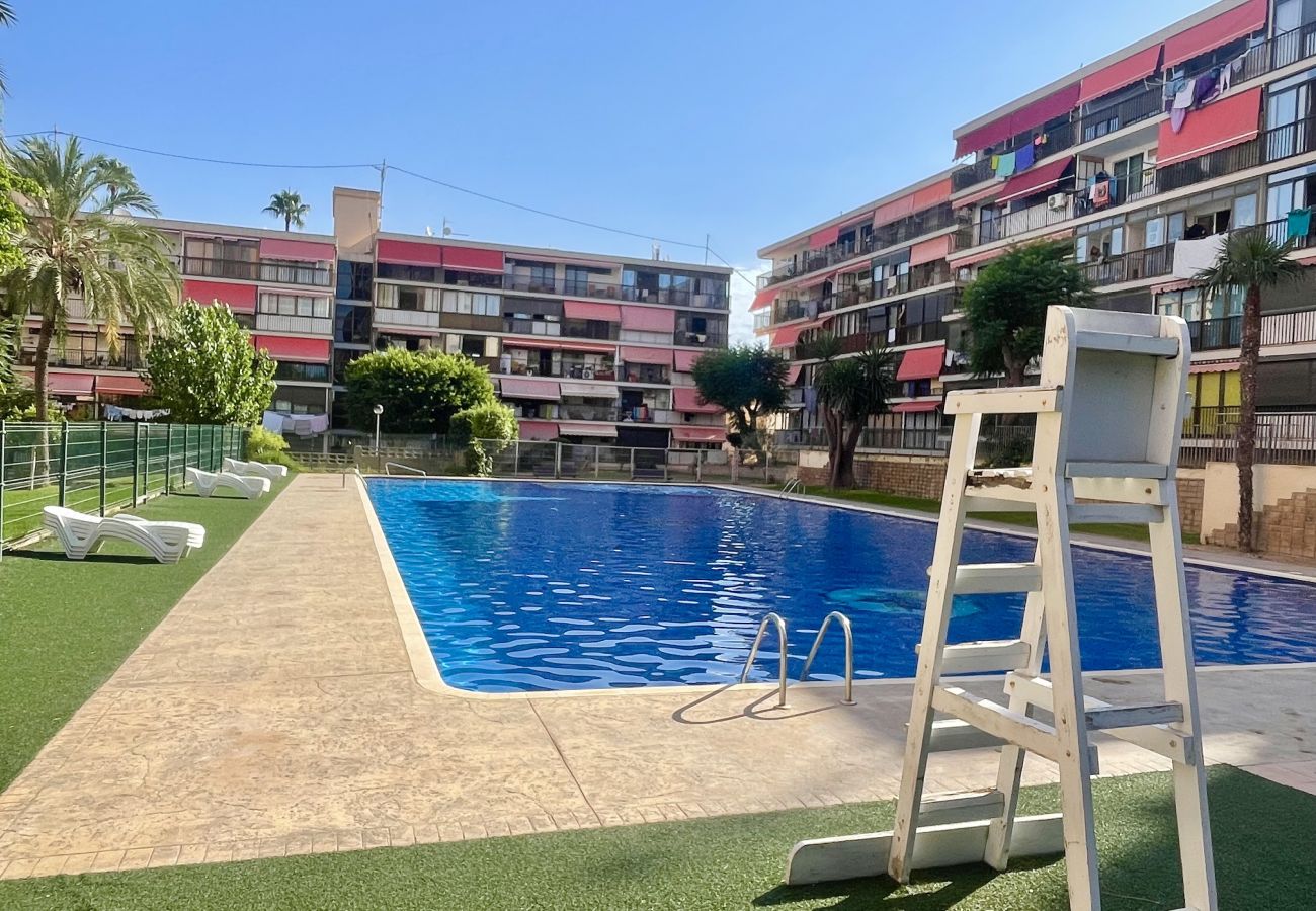 Apartment in Benidorm - EUROPA GARDEN LEVANTE BEACH R129