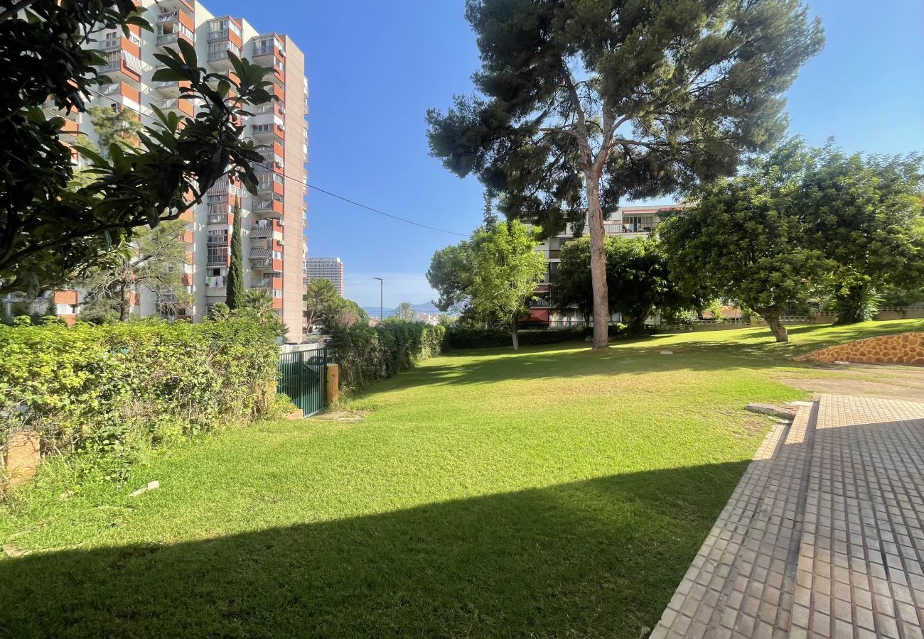 Apartment in Benidorm - EUROPA GARDEN LEVANTE BEACH R129