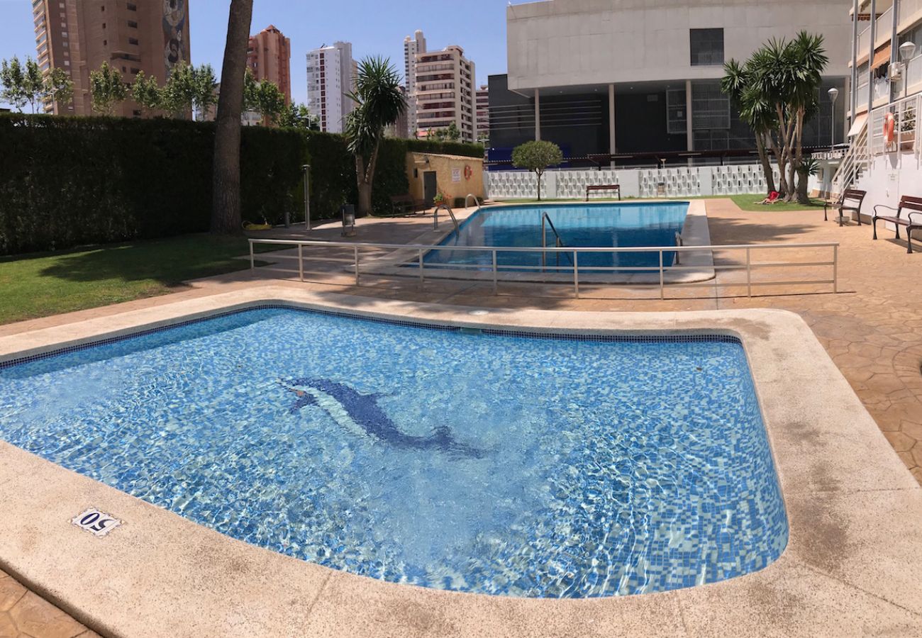 Apartment in Benidorm - ALBATROS APARTMENT (R133)