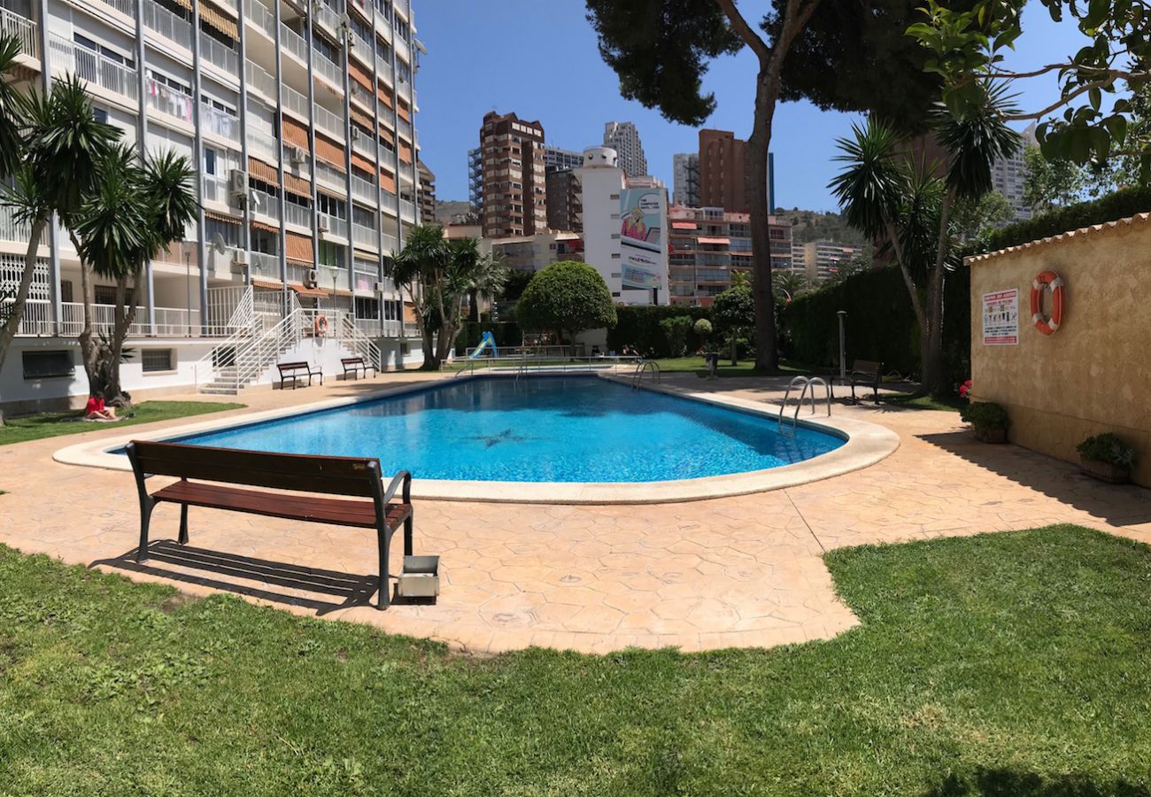 Apartment in Benidorm - ALBATROS APARTMENT (R133)