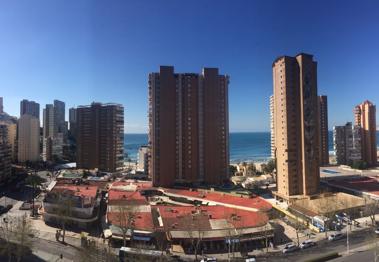 Apartment in Benidorm - ALBATROS APARTMENT (R133)