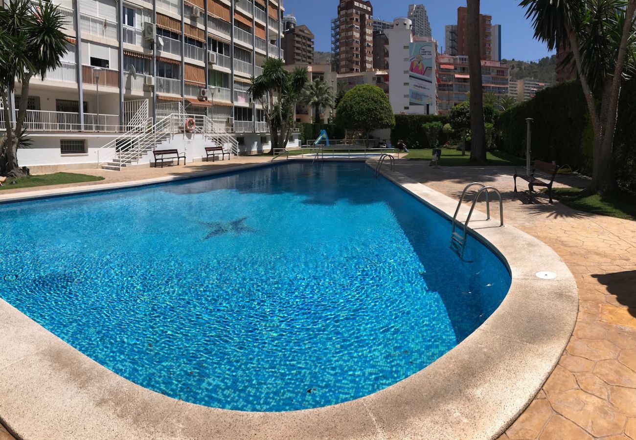 Apartment in Benidorm - ALBATROS APARTMENT (R133)