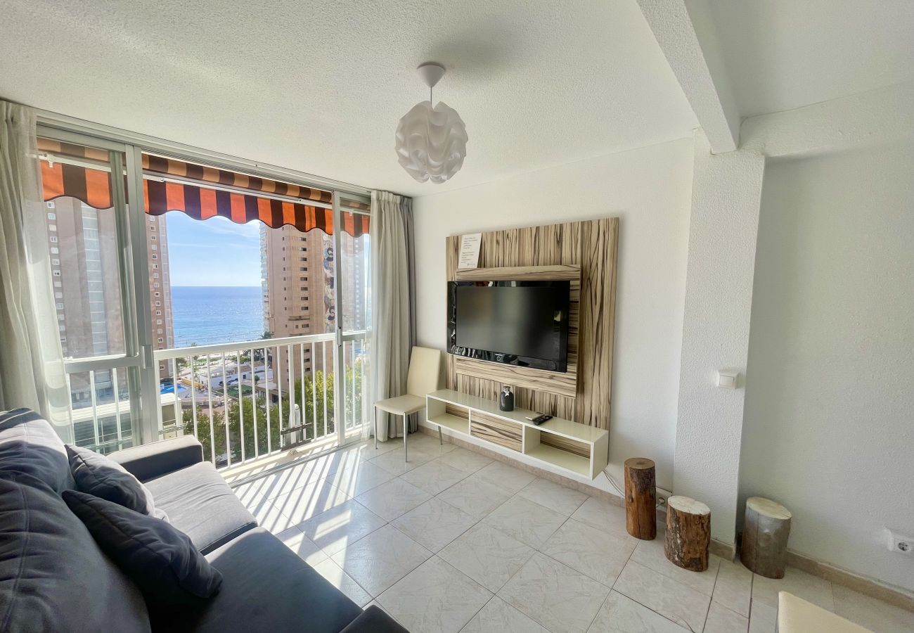 Apartment in Benidorm - ALBATROS APARTMENT (R133)