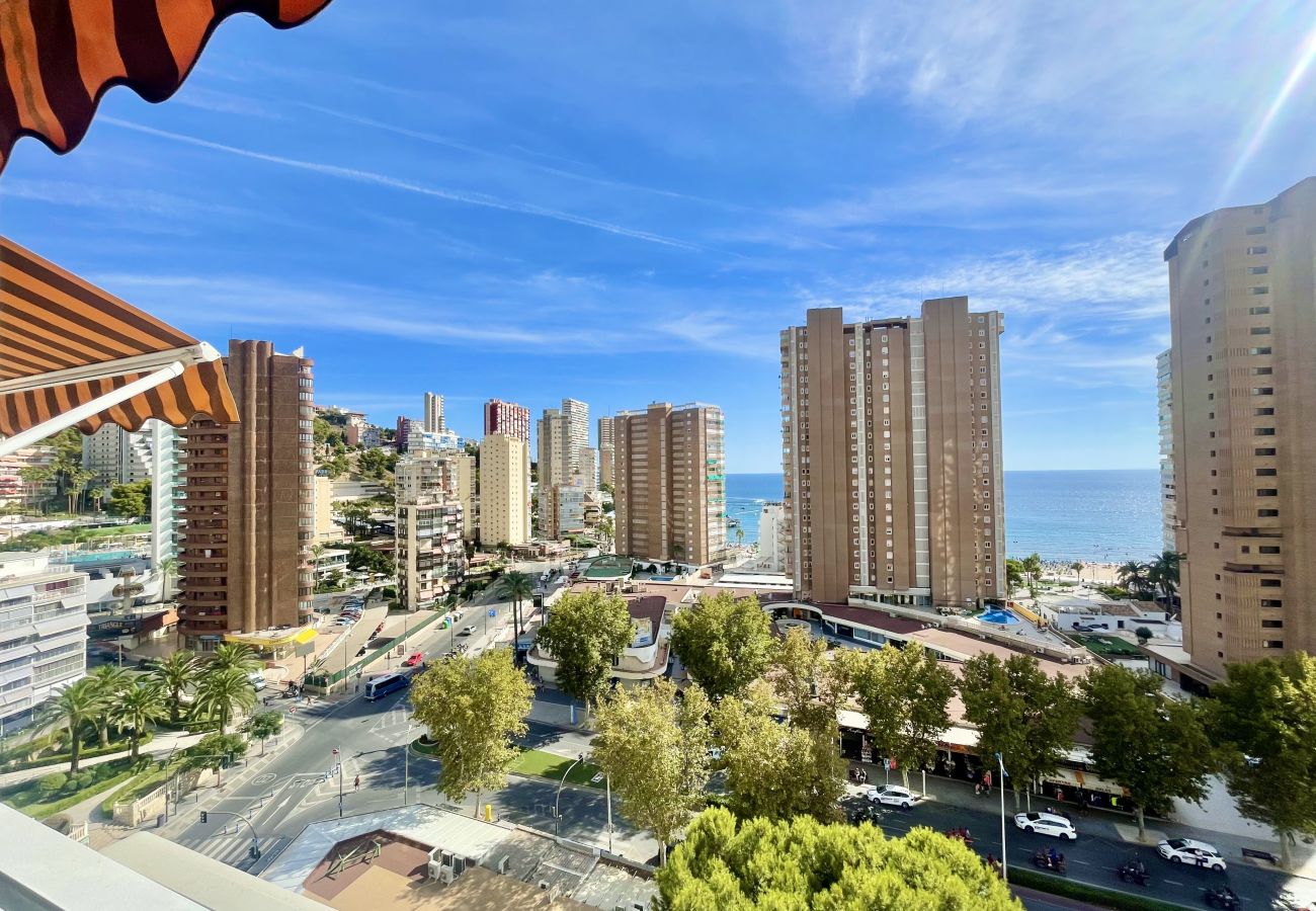 Apartment in Benidorm - ALBATROS APARTMENT (R133)