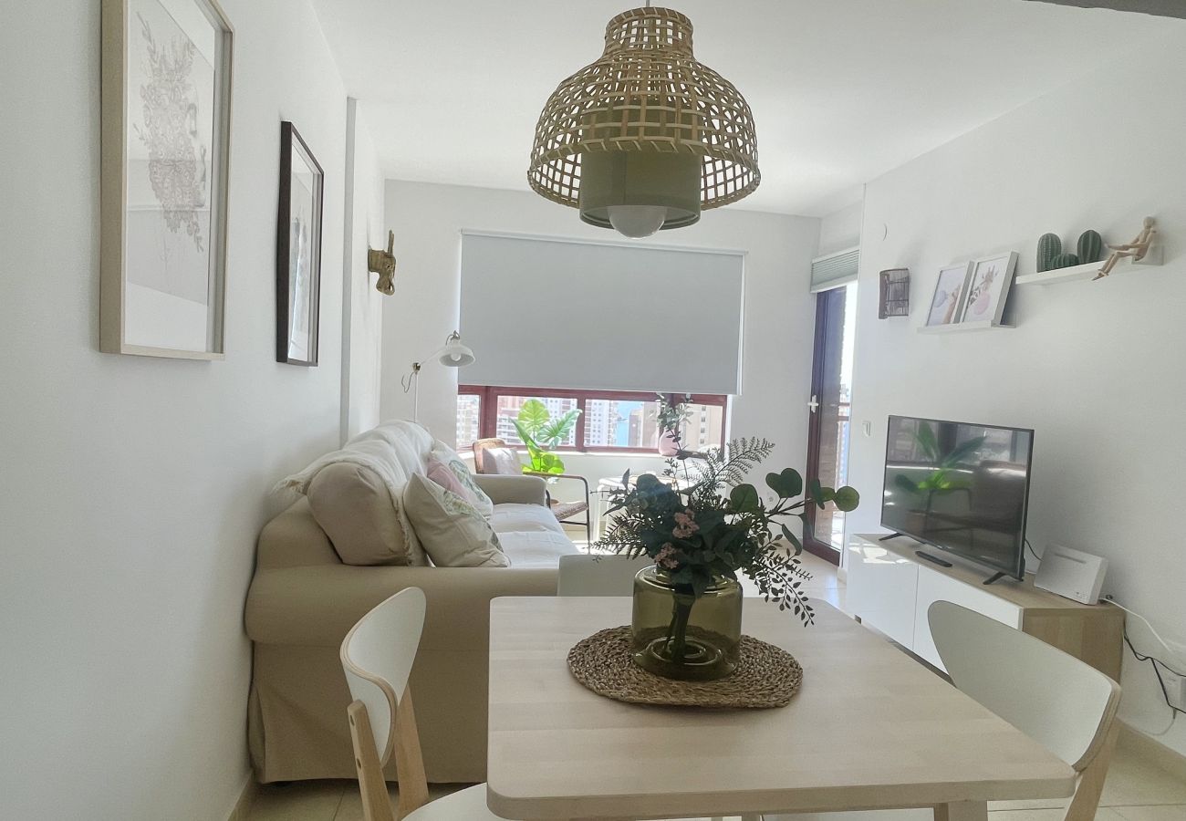 Apartment in Benidorm -  TORRE MAR HIGH VIEWS  NEW TOWN  R134