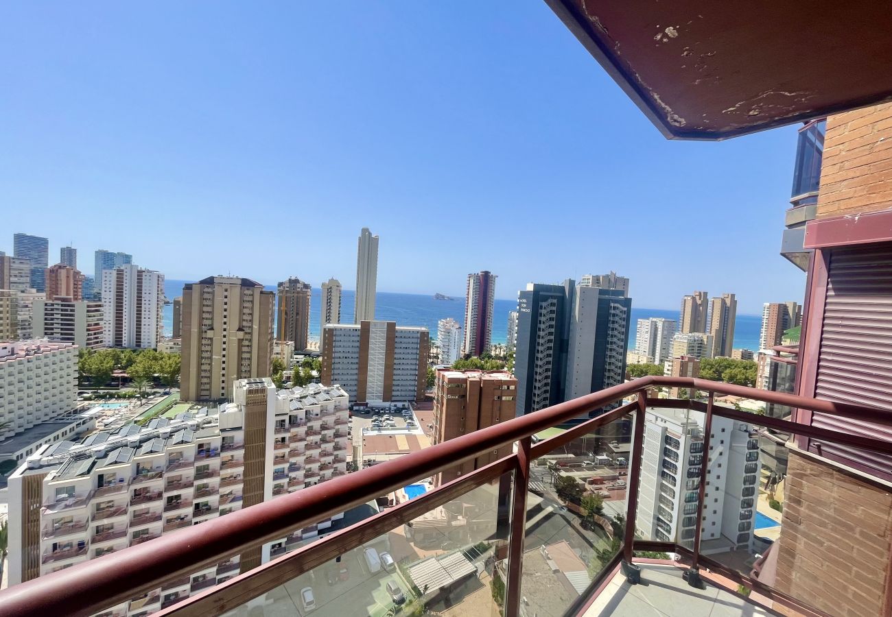 Apartment in Benidorm -  TORRE MAR HIGH VIEWS  NEW TOWN  R134
