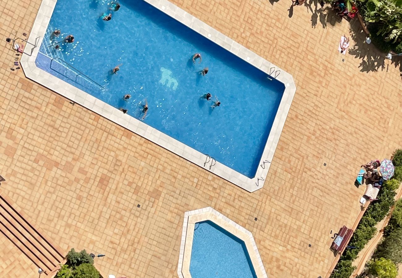 Apartment in Benidorm -  TORRE MAR HIGH VIEWS  NEW TOWN  R134