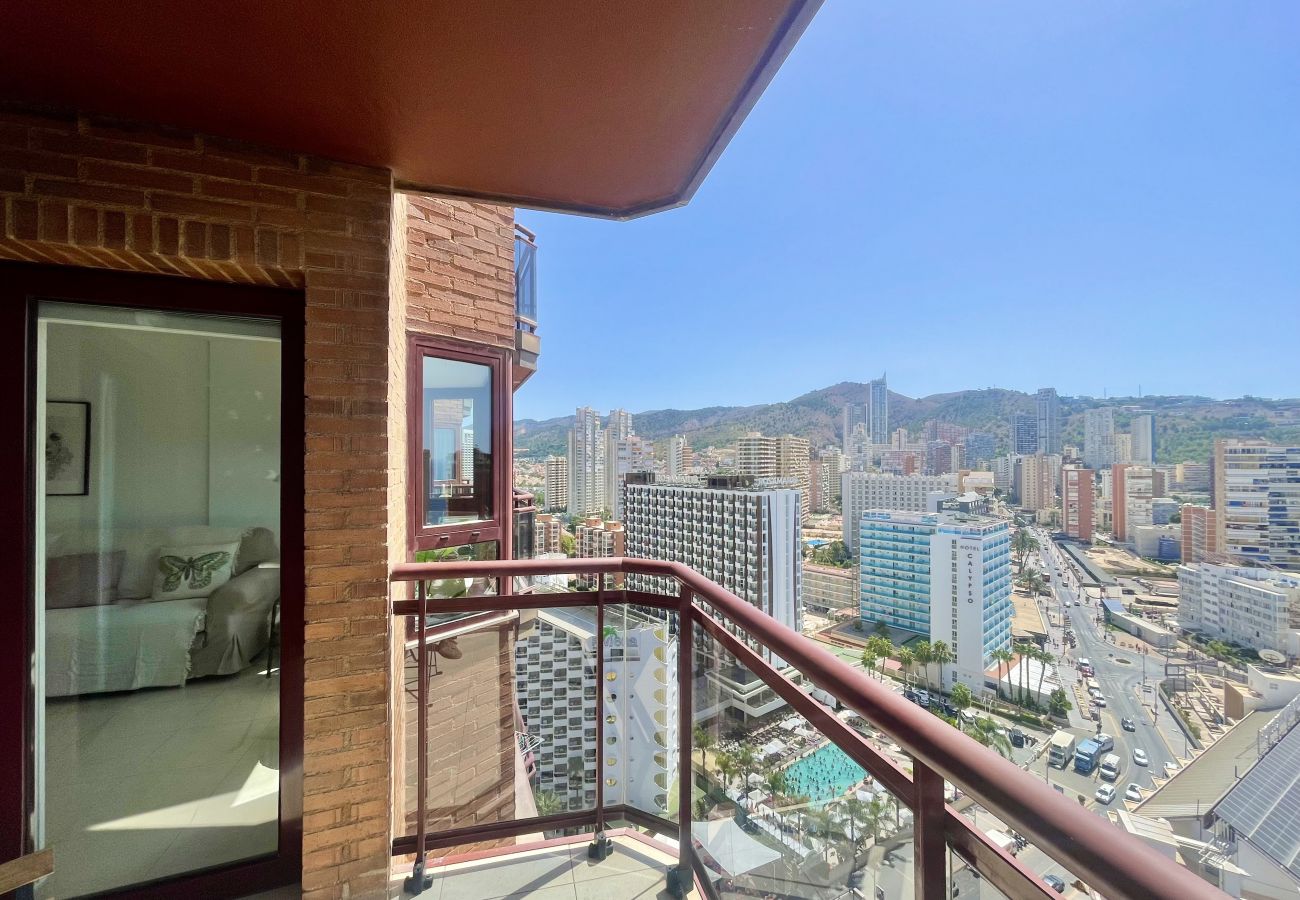 Apartment in Benidorm -  TORRE MAR HIGH VIEWS  NEW TOWN  R134