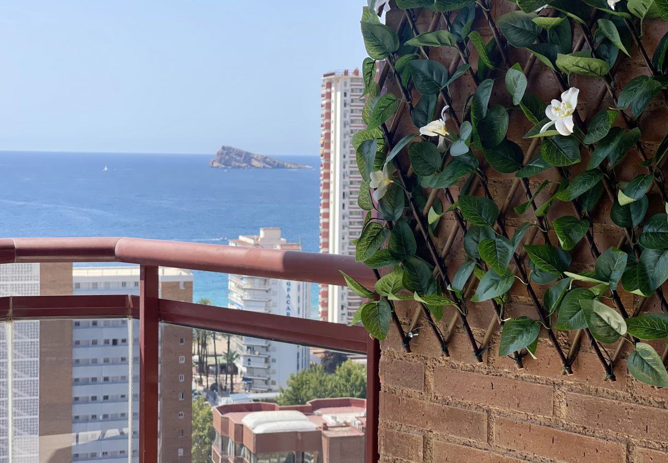 Apartment in Benidorm -  TORRE MAR HIGH VIEWS  NEW TOWN  R134