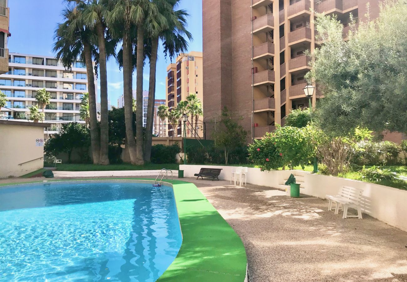 Apartment in Benidorm - KAROLA POOL AND FUN R138