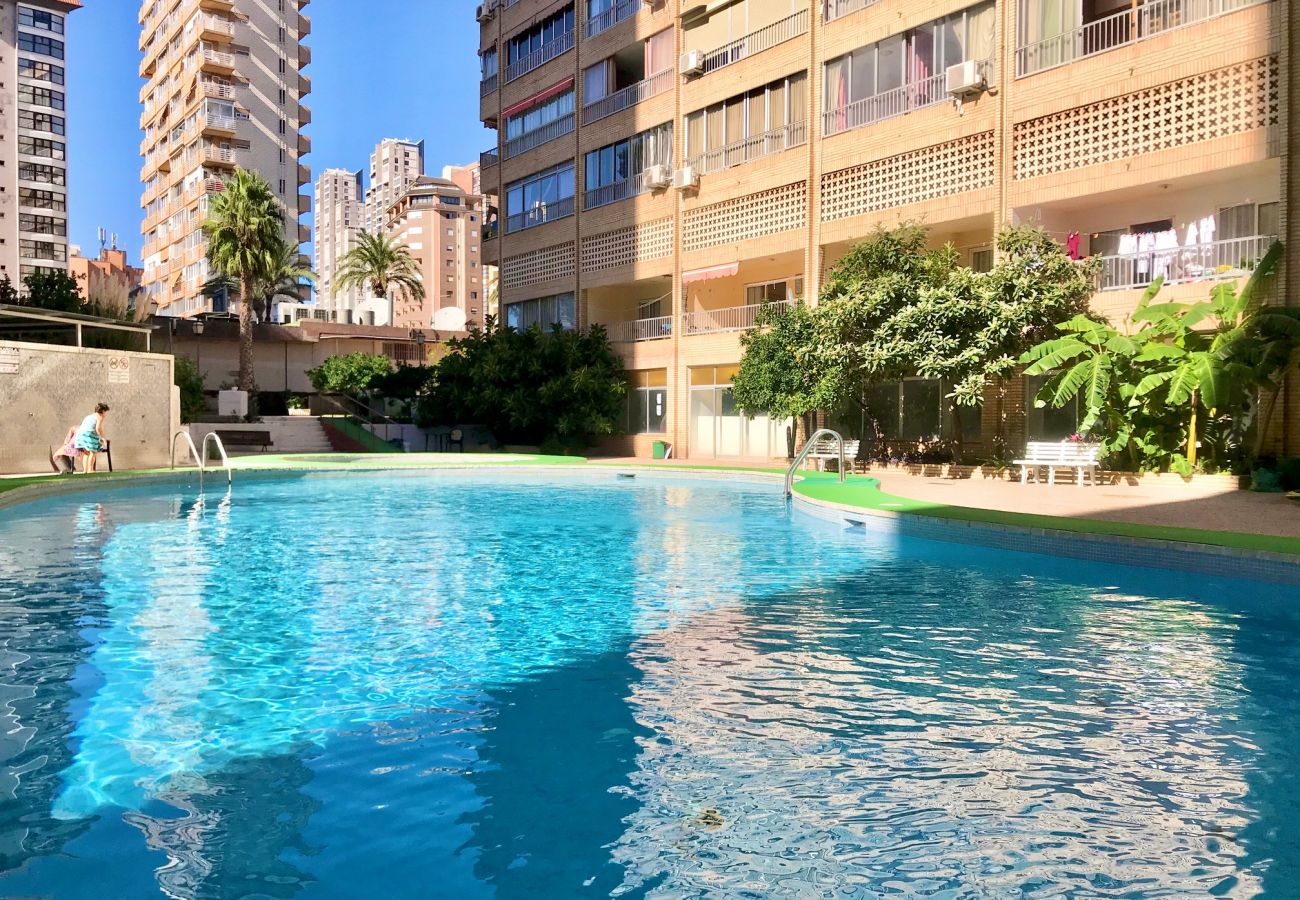 Apartment in Benidorm - KAROLA POOL AND FUN R138