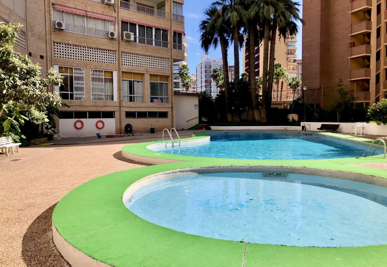 Apartment in Benidorm - KAROLA POOL AND FUN R138