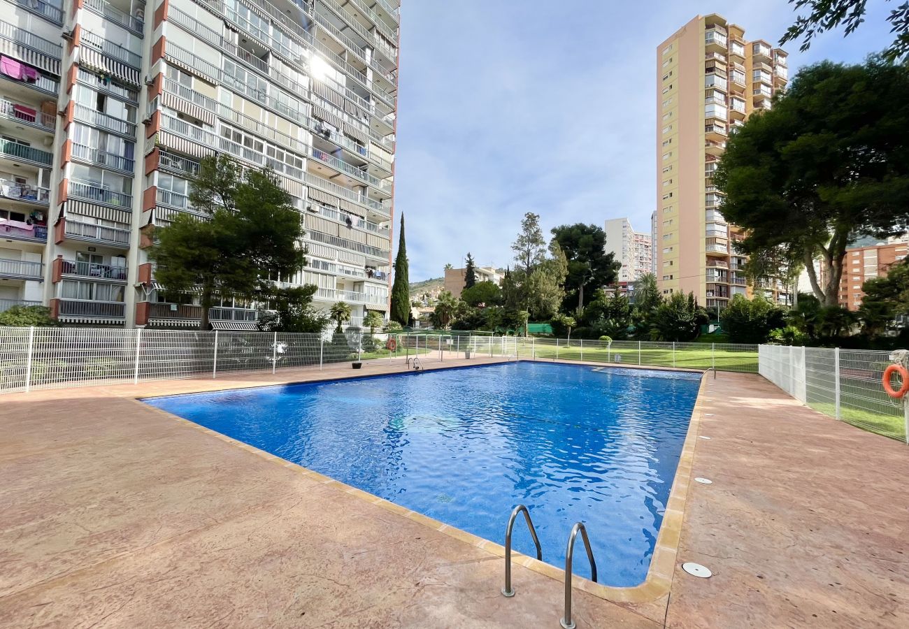 Apartment in Benidorm - Torre Colón (R139)