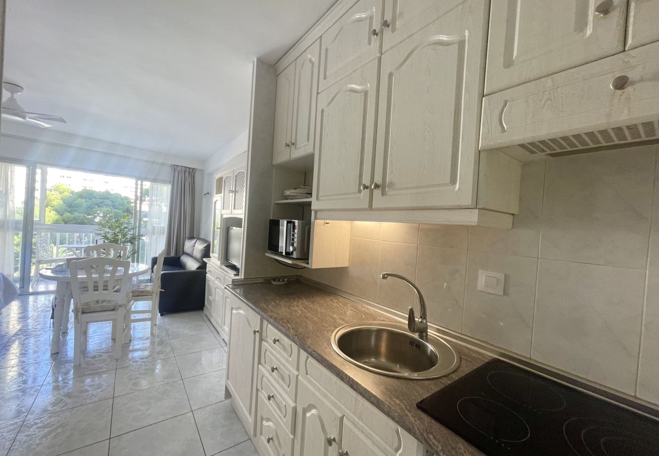 Studio in Benidorm - ARIES CABLE SKI STUDIO R141
