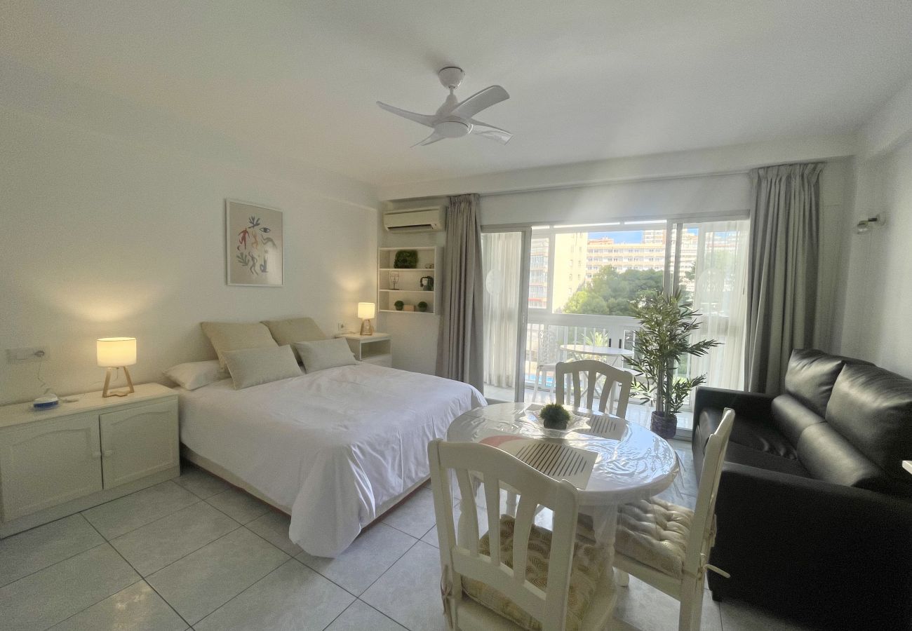 Studio in Benidorm - ARIES CABLE SKI STUDIO R141
