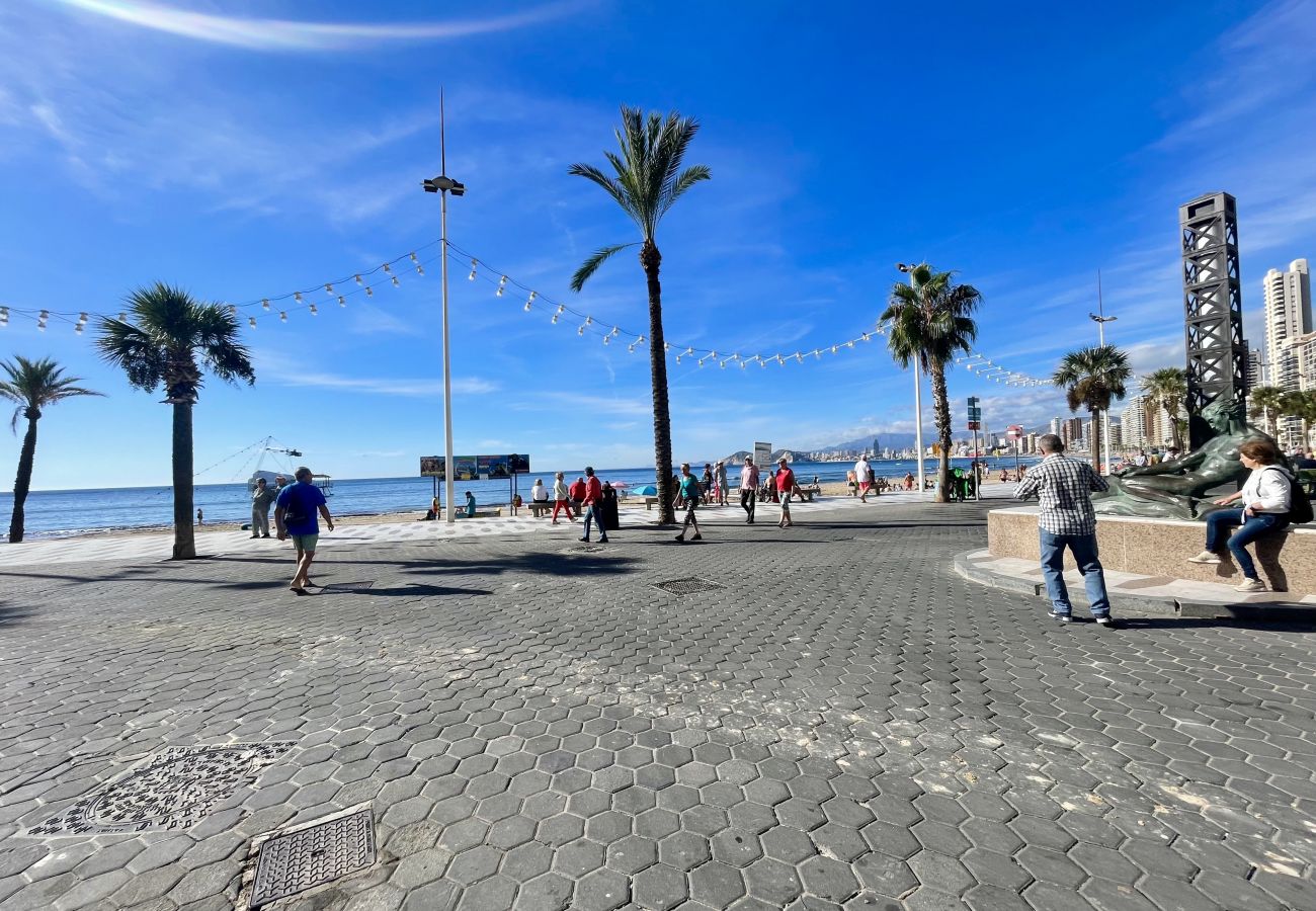 Studio in Benidorm - ARIES CABLE SKI STUDIO R141