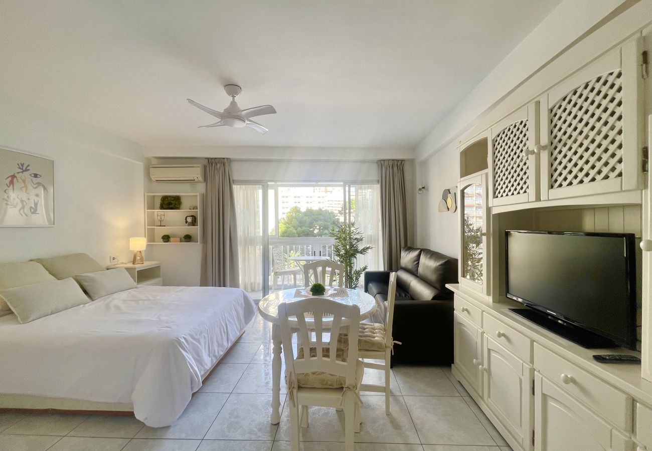 Studio in Benidorm - ARIES CABLE SKI STUDIO R141