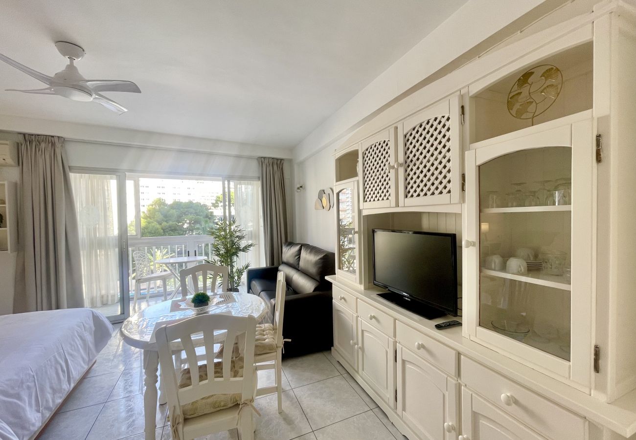 Studio in Benidorm - ARIES CABLE SKI STUDIO R141