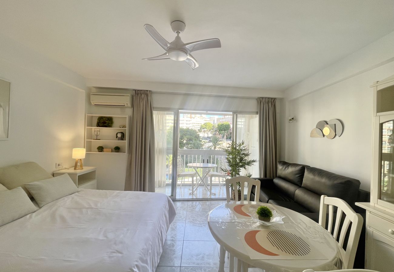 Studio in Benidorm - ARIES CABLE SKI STUDIO R141