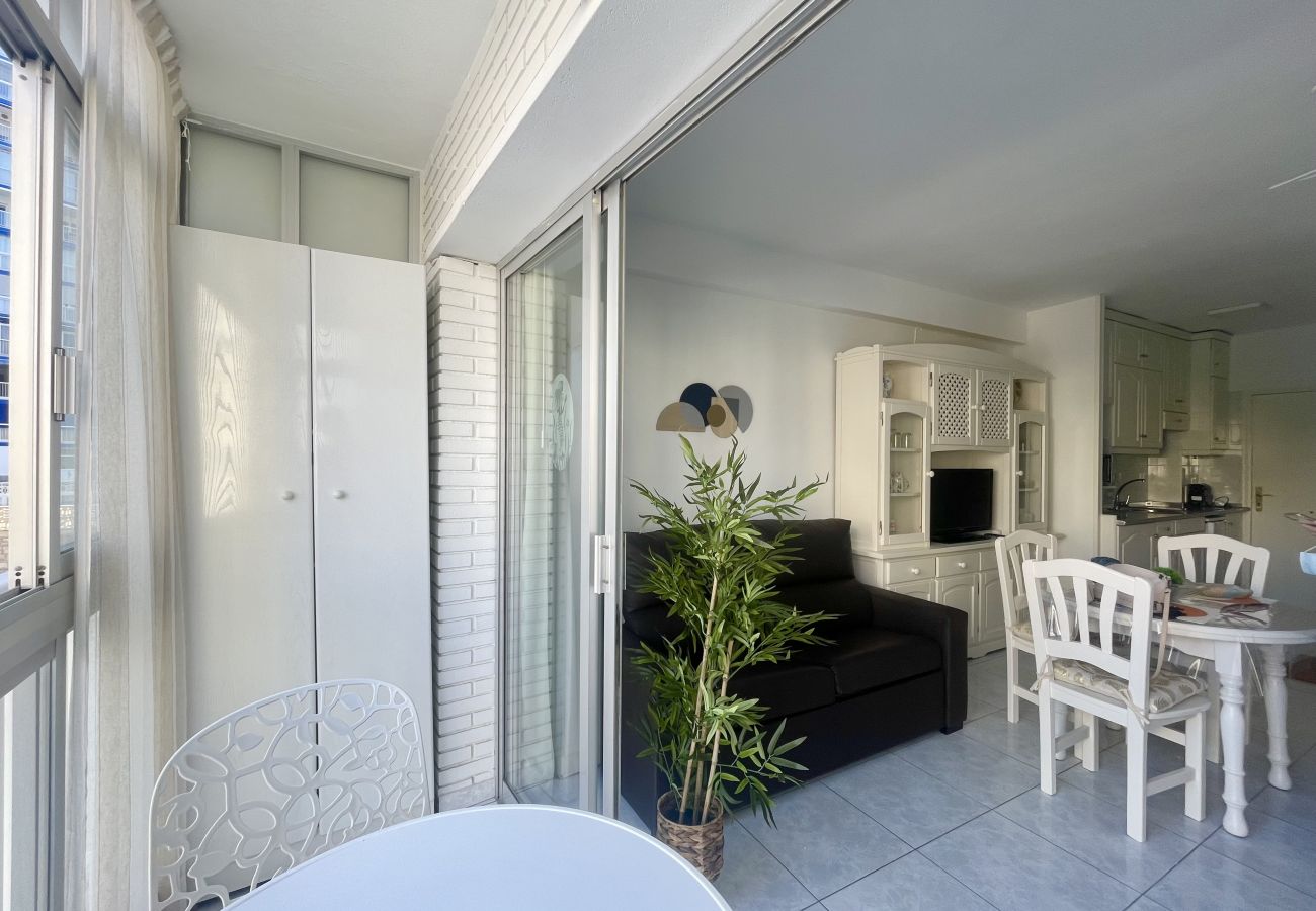 Studio in Benidorm - ARIES CABLE SKI STUDIO R141