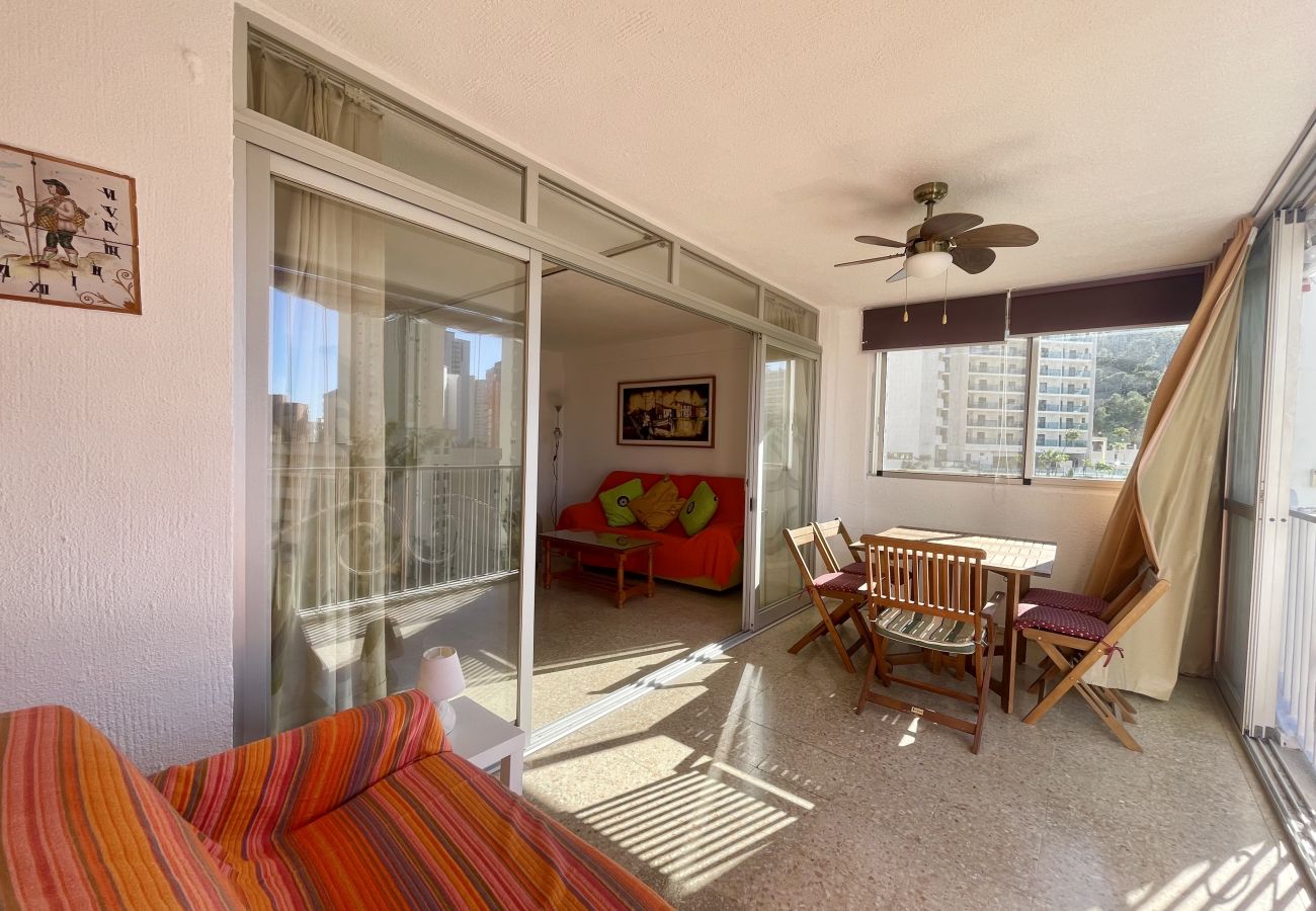 Apartment in Benidorm - APARTMENT GARDEN LOIX R144