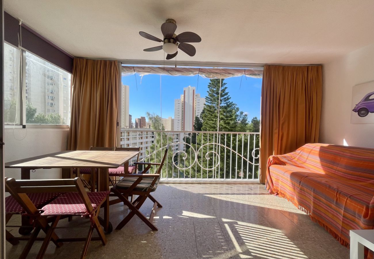 Apartment in Benidorm - APARTMENT GARDEN LOIX R144